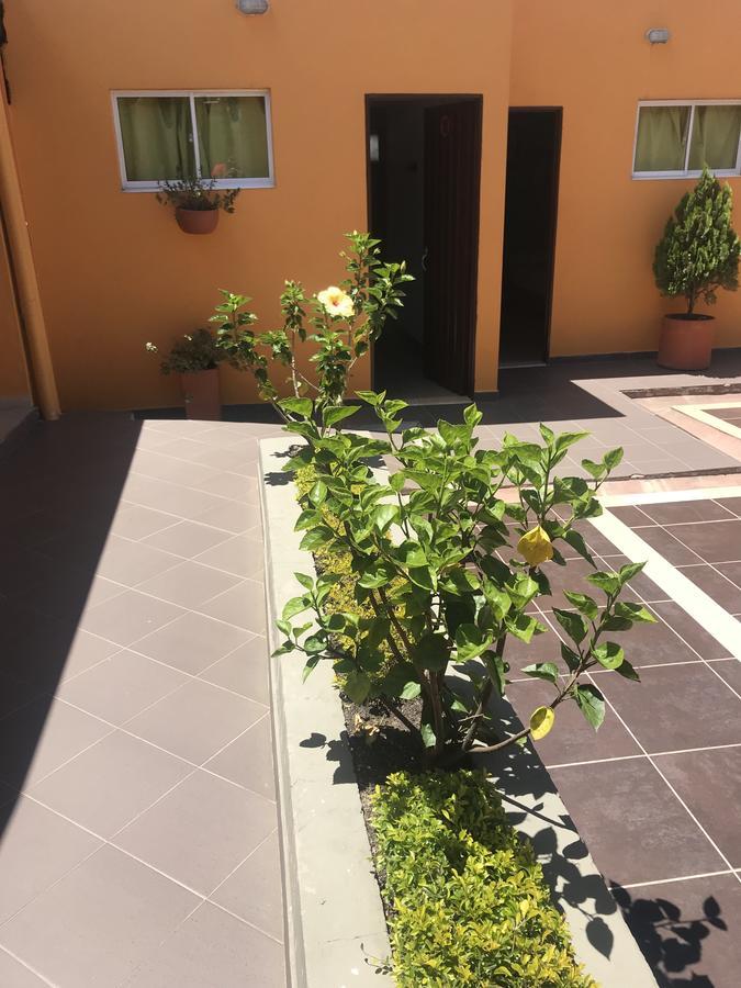 Hostal El Hangar Rionegro Exteriör bild